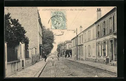AK Alfortville, Rue des Camèlias
