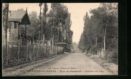 AK Villiers-sur-Marne, Bois de Gaumont-Avenue du Lac