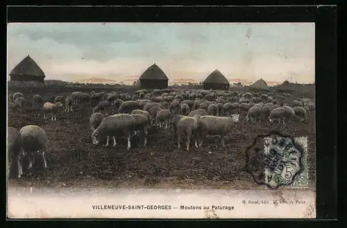 AK Villeneuve-Saint-Georges, Moutons au Paturage