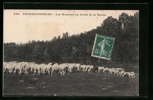 AK Charentonneau, Les Moutons au bords de la Marne