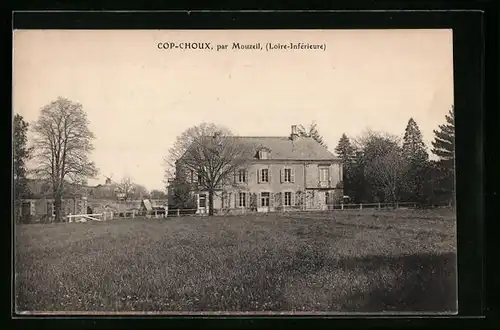 AK Mouzeil, Cop-Choux