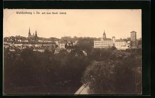 AK Waldenburg i. Sa., Teilansicht mit dem fürstl. Schloss