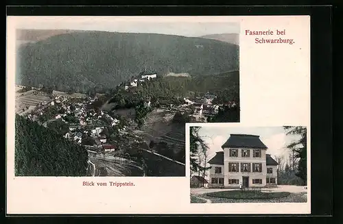 AK Schwarzburg, Blick vom Trippstein, Fasanerie