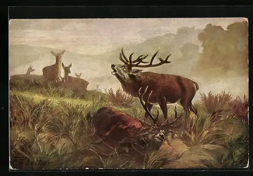 Künstler-AK Degi Nr. 1211: Besiegt, Röhrender Hirsch gibt seinen Sieg über den Gegner bekannt, Ölgemälde-Imitations-AK