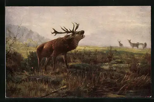 Künstler-AK Degi Nr. 1210: Oktobermorgen, Röhrender Hirsch, Ölgemälde-Imitations-AK