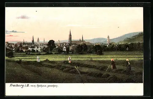 AK Freiburg i. B., Ortsansicht vom Rebhaus gesehen