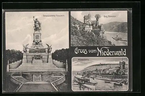 AK Rüdesheim, Niederwalddenkmal, Burg Rheinstein, Stadtpanorama