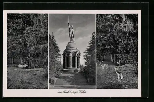 AK Detmold, Hermanns-Denkmal, Hirsche im Wald