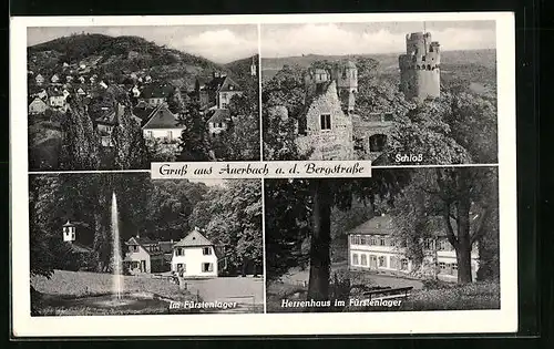 AK Auerbach a. d. Bergstrasse, Herrenhaus, Fürstenlager, Schloss