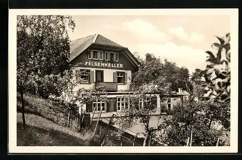AK Waldkirch / Breisgau, Gasthaus-Pension Felsenkeller