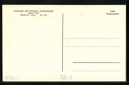 AK Waldkirch / Breisgau, Gasthaus-Pension Felsenkeller