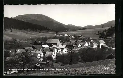 AK Waidmannsfeld, Blick von der Bergwiese