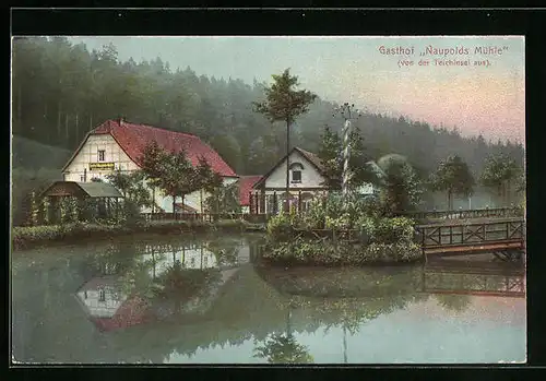 AK Eisenberg, Gasthof Naupolds Mühle von der Teichinsel aus