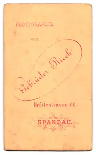 Fotografie Gebrüder Rieck, Spandau, Breitestrasse 66, Bürgerlicher mit Vollbart und schmalem Binder