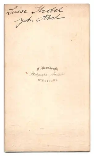 Fotografie F. Brandseph, Stuttgart, Portrait Luise Strobel im seidenen Biedermeierkleid vor einer Studiokulisse