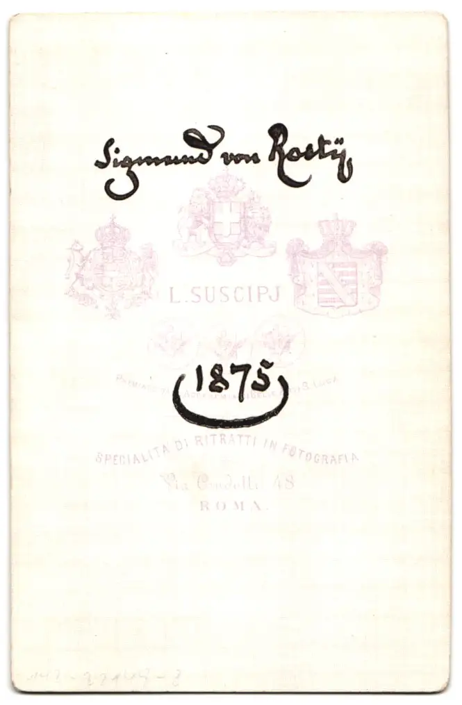 Fotografie L. Suscipj, Rom, Portrait Siegmund von Roesty, Österreichich-Ungarischer Diplomat in Uniform, 1875 1
