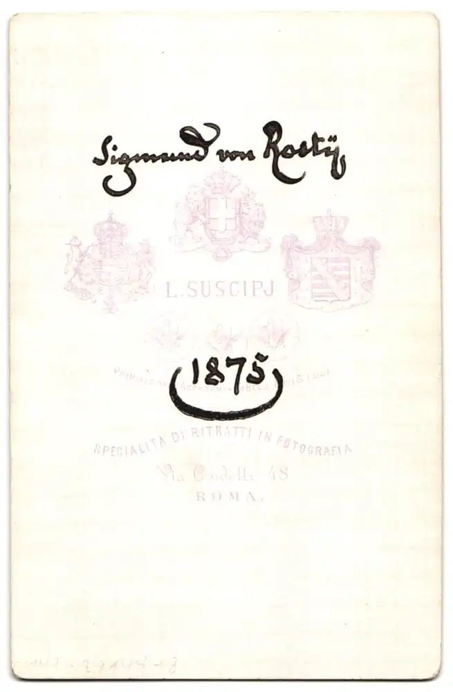 Fotografie L. Suscipj, Rom, Portrait Siegmund von Roesty, Österreichich-Ungarischer Diplomat in Uniform, 1875 1