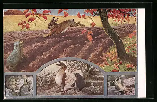 Künstler-AK Der Hase und der Igel, Wettrennen, Überredung, erschöpfter Hase