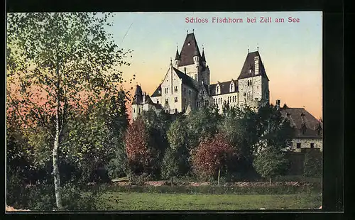 AK Zell am See, Schloss Fischhorn im grünen Landschaftsbild