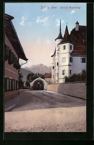 AK Zell am See, Schloss Rosenberg, Strassenpartie