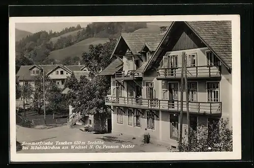 AK Tauchen b. Mönichkirchen am Wechsel, Pension Notter