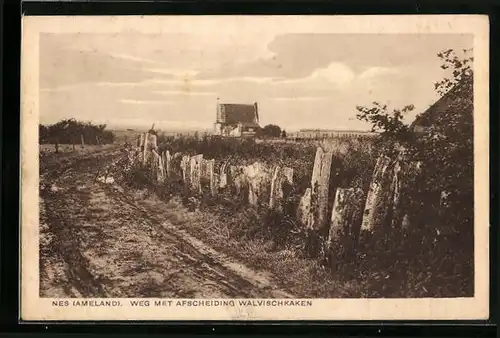 AK Nes /Ameland, Weg met Afscheiding walvischkaken