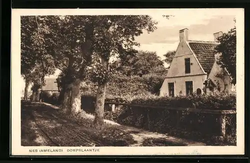 AK Nes /Ameland, Dorpslaantje