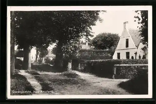 AK Nes /Ameland, Dorpsgezicht