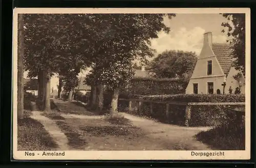 AK Nes /Ameland, Dorpsgezicht