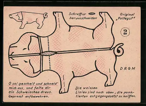 Faltegut-AK Faltanleitung für ein Hausschwein-Modell