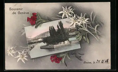 AK Genève, Panorama