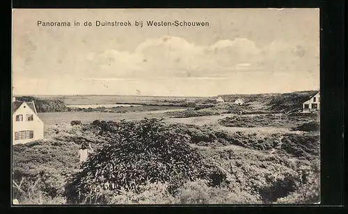 AK Westen-Schouwen, Panorama in de Duinstreek