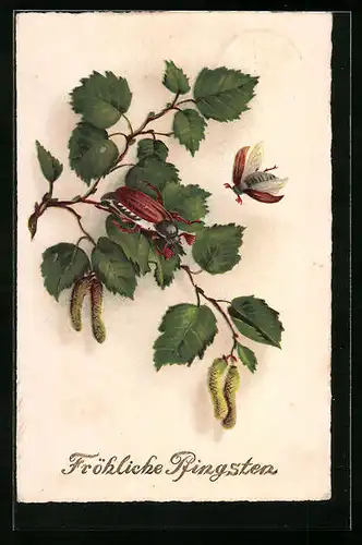 Künstler-AK Maikäfer auf Birkenzweig - Pfingstgruss
