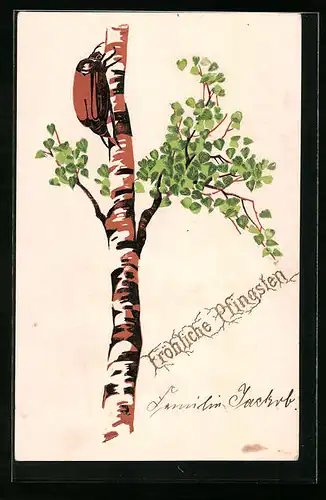 Präge-AK Maikäfer auf einer Birke - Pfingstgruss