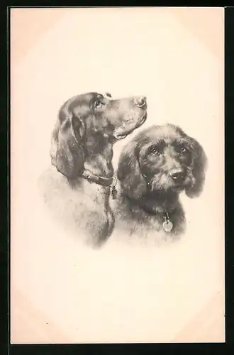 Künstler-AK Portrait zweier Hunde