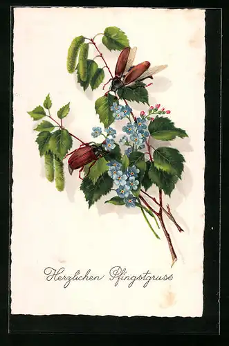 Künstler-AK Maikäfer auf mit Blüten geschmücktem Zweig - Pfingstgruss