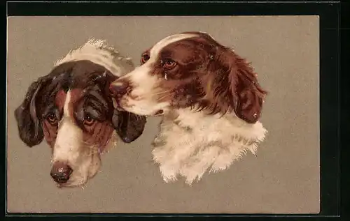 Präge-AK Portrait zweier Jagdhunde