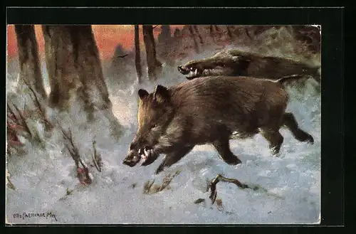 Künstler-AK Zwei Wildschweine im Schnee