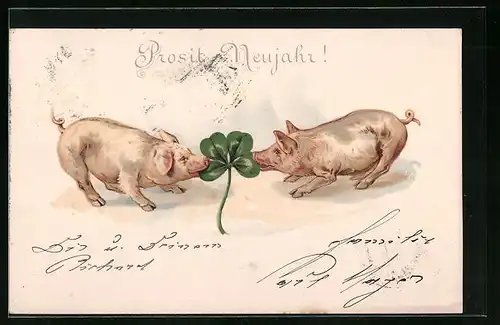 AK Zwei Schweine mit vierblättrigem Kleeblatt - Neujahrsgruss