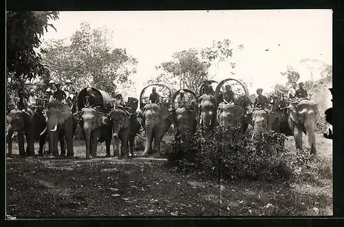 AK Beladene Elefanten in Asien vor einer Expedition
