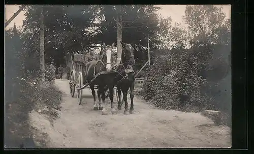 AK Pferdegespann, von einem Soldat gefahren