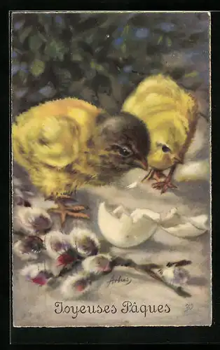 AK Osterhase betrachten Eierschale