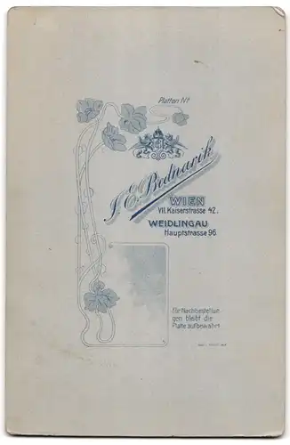 Fotografie J. E. Bednarik, Wien, Kaiserstrasse 42, Junger Knirps in Lederhose vor einer traumhaften Bergkulisse, Tracht