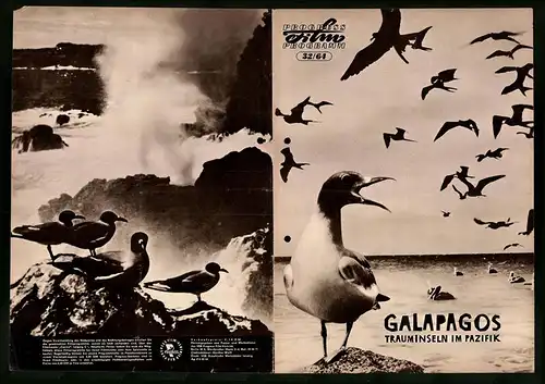 Filmprogramm PFP Nr. 32 /64, Galapagos - Trauminseln im Pazifik, Dokumentation, Regie: Heinz Sielmann