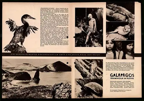 Filmprogramm PFP Nr. 32 /64, Galapagos - Trauminseln im Pazifik, Dokumentation, Regie: Heinz Sielmann