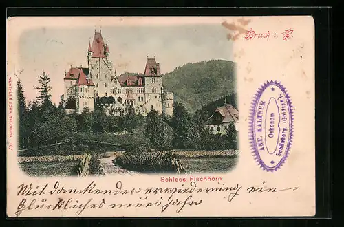 AK Bruck, Blick auf Schloss Fischhorn