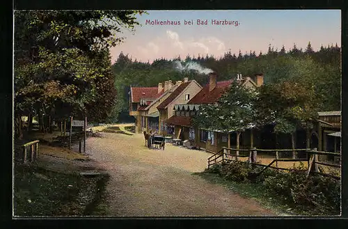 AK Bad Harzburg, Blick auf Molkenhaus und Nadelwald