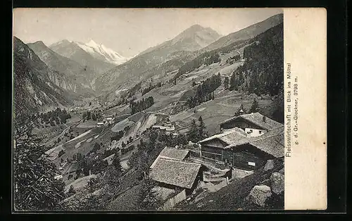 AK Heiligenblut, Fleisswirtschaft mit Blick ins Mölltal