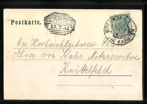 AK Wolfsberg, Ansicht des Ortes inmitten bewaldeter Landschaft