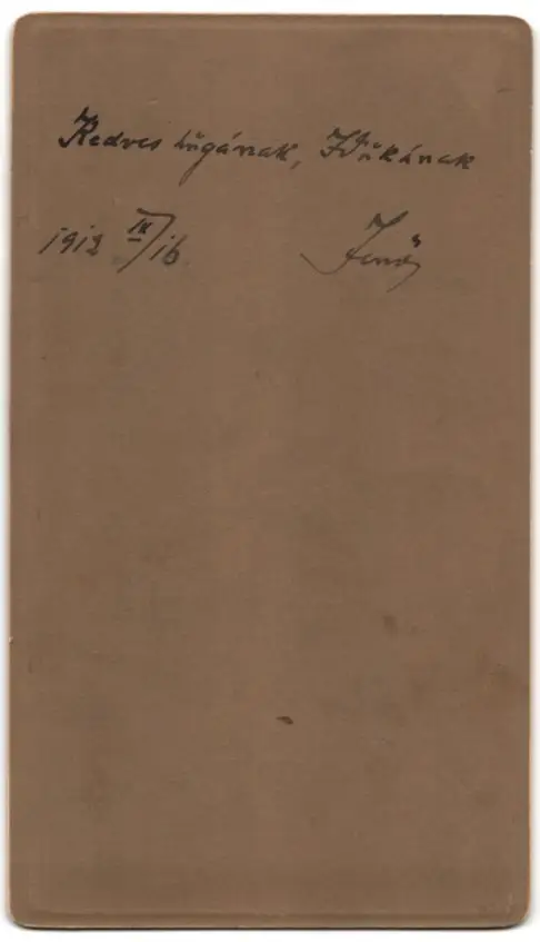 Fotografie unbekannter Fotograf und Ort, kaiserlich höficher Beamter in Galauniform mit Säbel 1